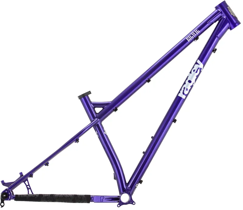 Ragley Big Wig Frame - Purple/ Silver